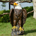 GDFStudio Crispus 24.4  H Outdoor Hand-Painted Bald Eagle Resin Statue, Brown
