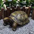 GDFStudio Rowan Outdoor 21.3-Inch Realistic Turtle Resin Garden Statue, Brown