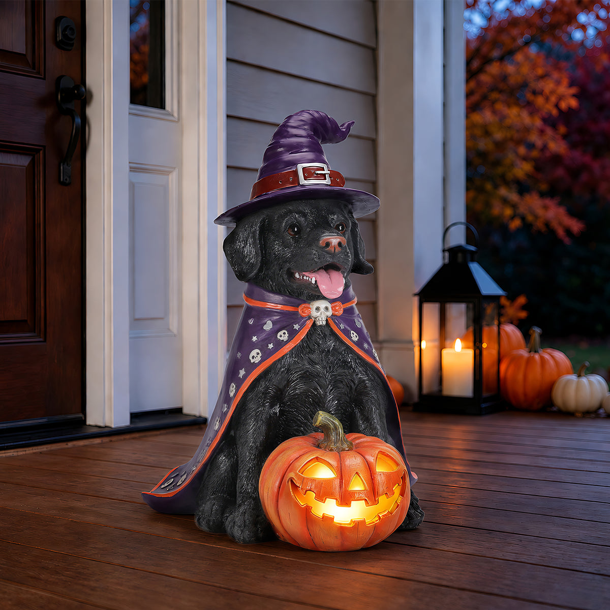 GDFStudio Ruwa Halloween Resin Witch Dog Statue with Light-Up Jack-O Lantern, Black/Purple