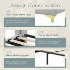 Christopher Knight Home Modern Faux Leather Platform Bed with Gold Metal Accents & Sturdy Wood-Metal Frame