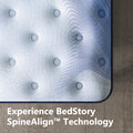 BedStory SpineAlign Pro 14" Firm Pressure Relieving Cooling Hybrid Mattress?Queen