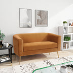 Velvet Loveseat ¨C Modern Glam Minimalist Sofa for Living Room