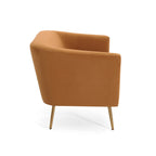 Velvet Loveseat ¨C Modern Glam Minimalist Sofa for Living Room