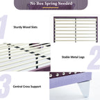 Christopher Knight Home Modern Velvet Wingback Tufted Platform Bed with Nailhead Trim and Silver Legs