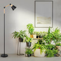 GDFStudio Nadia Modern Indoor Plants Full Spectrum Grow Lights with 20W COB Grow Light Blub and 4/8/12H Timer, Black
