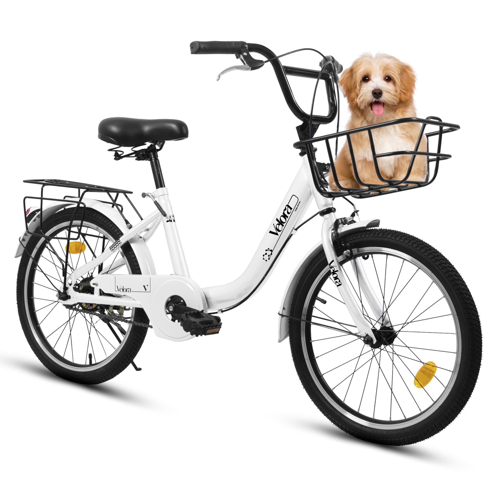 GDFStudio Caris 20'' 1-Speed Kids Bike with Carbon Steel Frame, Coaster Brake and V-Brake, White